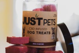 WHAT CBD PRODUCTS SHOULD I GIVE TO A DOG OR CAT?